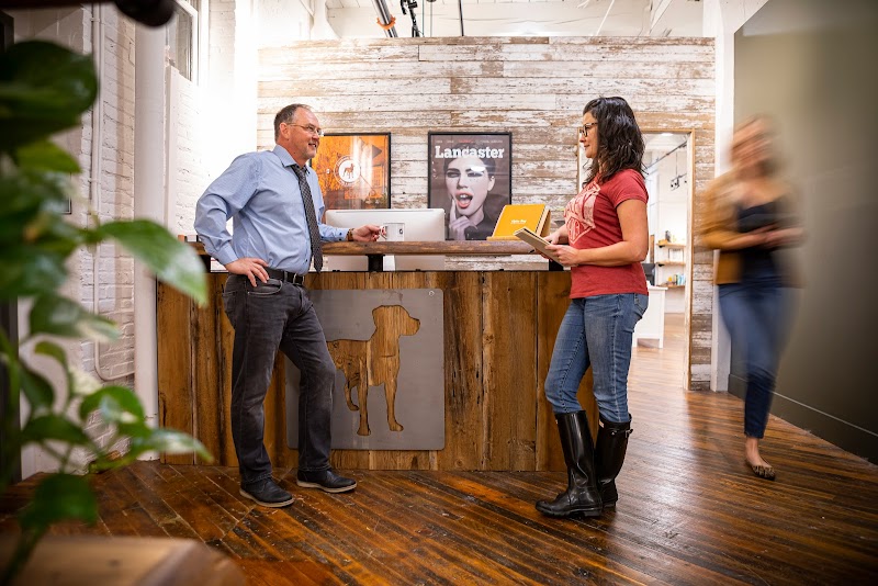 Alpha Dog Advertising