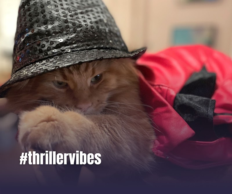 Brandy Kemp - Kemp Marketing