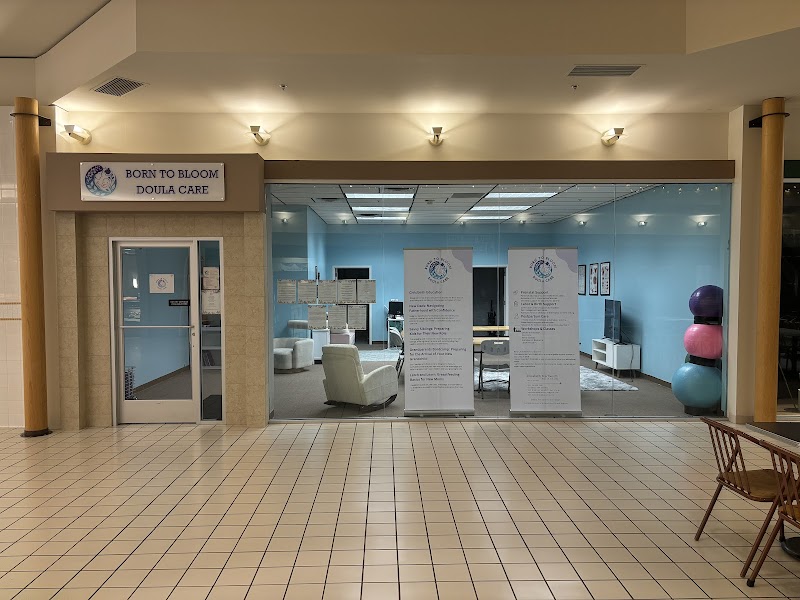 Buck Wild Digital Marketing