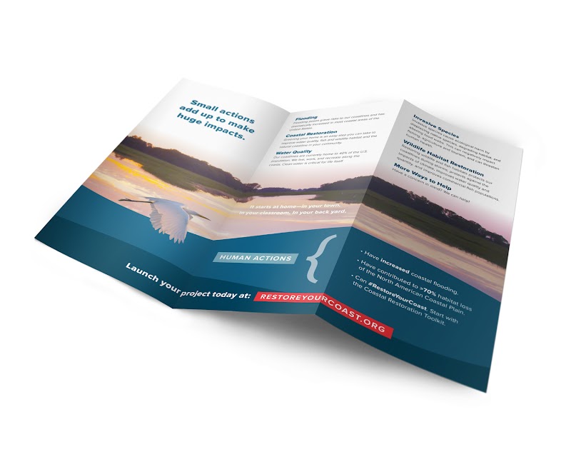 Chariot Creative Digital Marketing