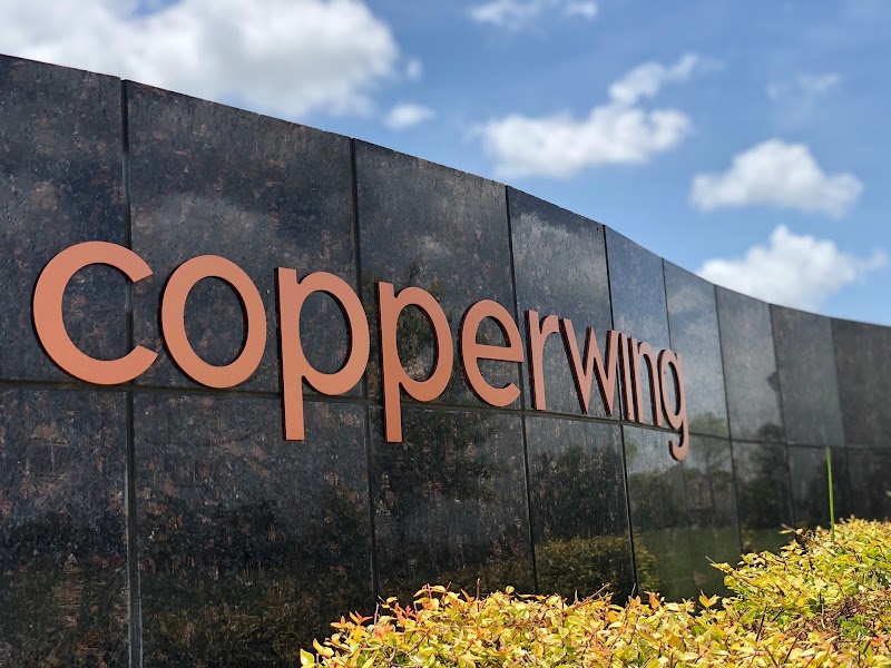 Copperwing