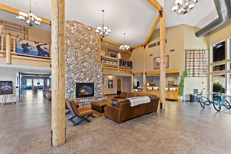 Cougar Digital Marketing