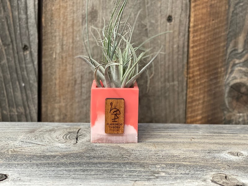 Flamingo Theory Marketing