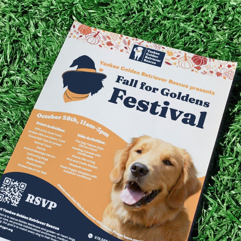 Jade Marketing Agency (Previously Studio Jade)