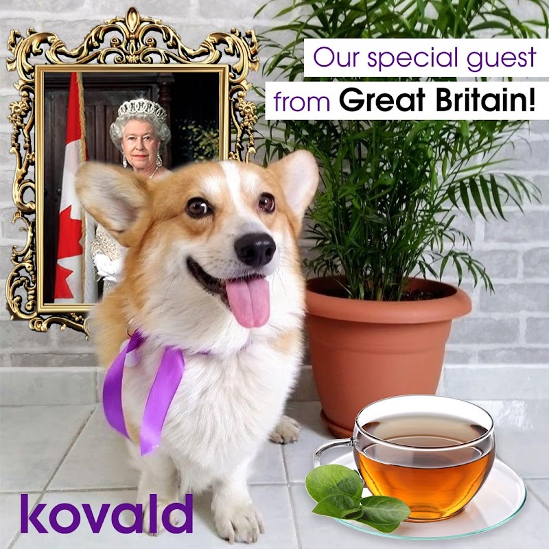 kovald Digital Marketing Strategies