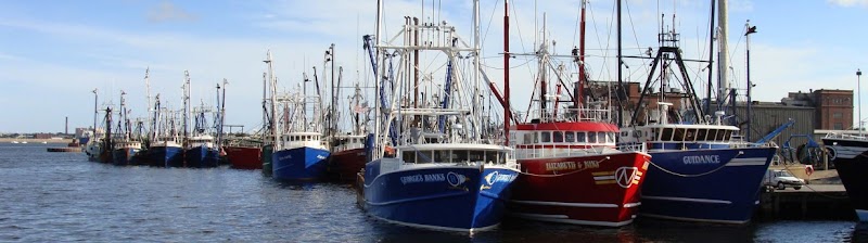 MBDEV Boston Web Design & Local SEO