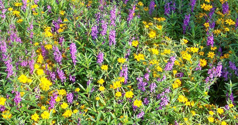 SMART MARKETING GROUP