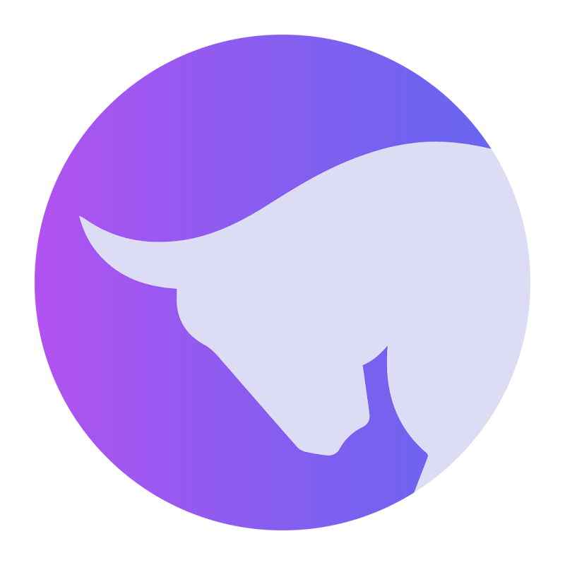 The Branding Bull Digital Marketing Agency