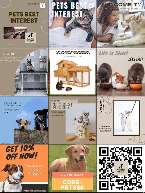 The Successful Solutions