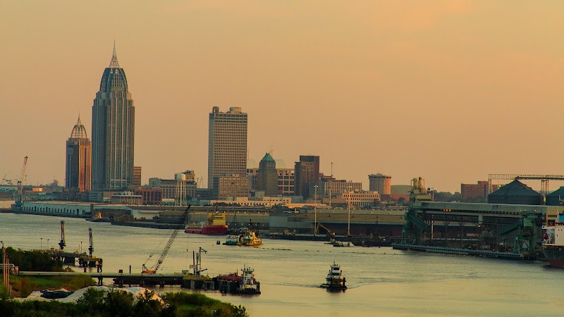 TurkReno Website Design