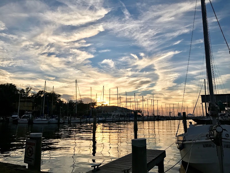 TurkReno Website Design